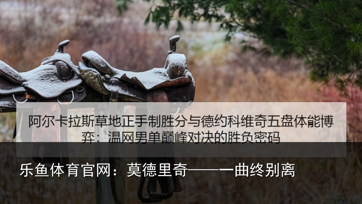 乐鱼体育官网：莫德里奇——一曲终别离