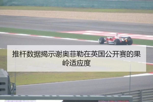 推杆数据揭示谢奥菲勒在英国公开赛的果岭适应度