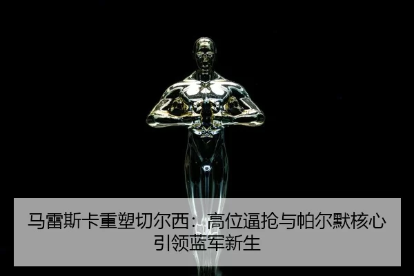 ma-lei-si-ka-zhong-su-qie-er-xi-gao-wei-bi-qiang-yu-pa-er-mo-he-xin-yin-ling-lan-jun-xin-sheng-3-603.jpg