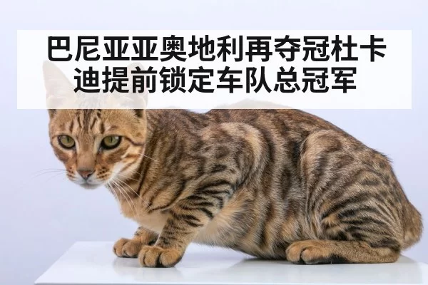 巴尼亚亚奥地利再夺冠杜卡迪提前锁定车队总冠军