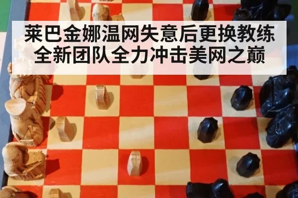 莱巴金娜温网失意后更换教练 全新团队全力冲击美网之巅