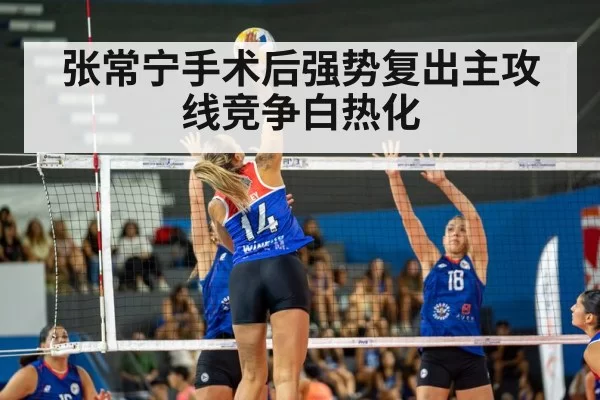 张常宁手术后强势复出主攻线竞争白热化